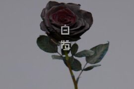 方大同《白发》歌词及赏析