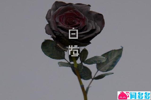 方大同《白发》歌词及赏析