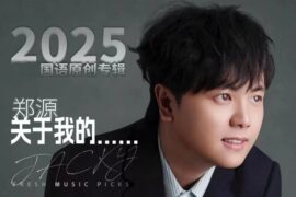 郑源《雁归愁》歌词及评论