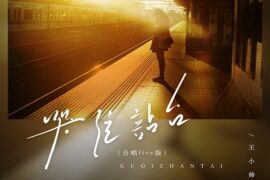 王小帅《哭泣站台》完整版歌词