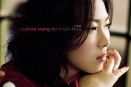 王若琳《I Love You》歌词表达及评论