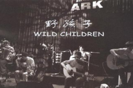 野孩子《生活在地下》歌词及赏析