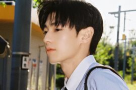 刘骏《落叶是风来过的痕迹》歌词及赏析