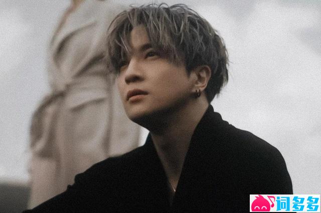 薛之谦《平庸》歌词及评论