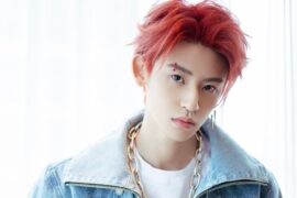 Ghost (王琳凯)《kiss》歌词及评论赏析