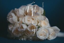 《南音》歌词及赏析