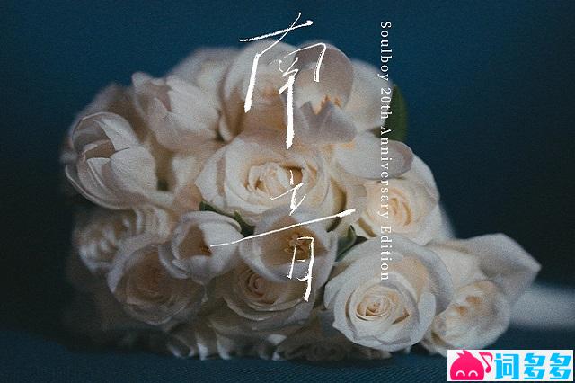 《南音》歌词及赏析