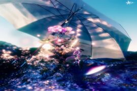 亞細亞曠世奇才、诺米么《花伞》完整版歌词