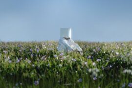 郑润泽《想念你的日子》歌词封面图