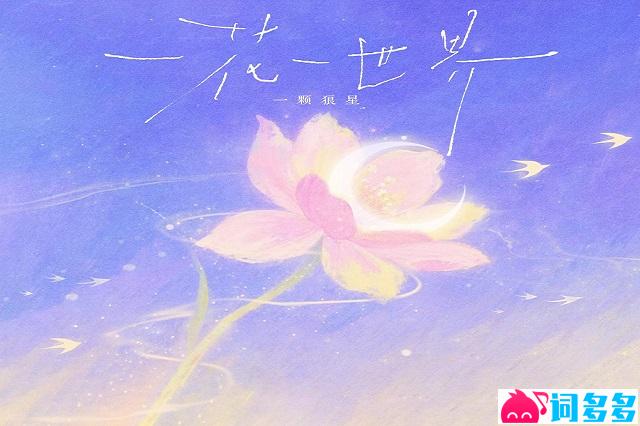 一颗狼星《一花一世界》歌词封面图