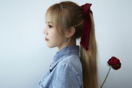 苏晗《漫天的落叶》歌词封面图