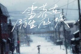 李林夕《雪落在陌生的城》歌词封面图