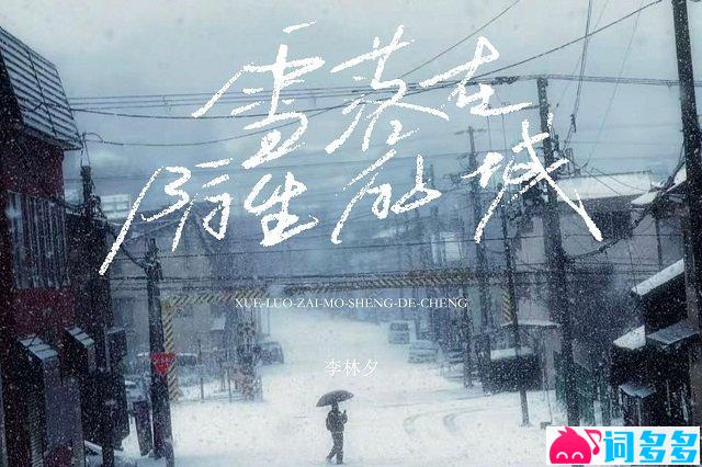 李林夕《雪落在陌生的城》歌词封面图
