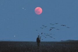 余翊、烟火客《三两句》歌词封面图