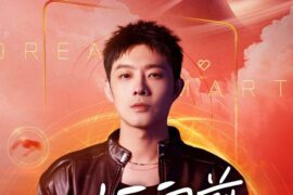 宝石Gem、张碧晨《不后悔》歌词封面图