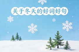 作文资料关于冬天的好词好句图片