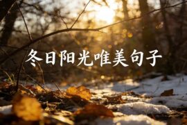 2026冬日暖阳的唯美句子唯美图片