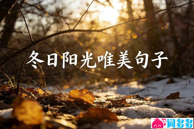2026冬日暖阳的唯美句子唯美图片