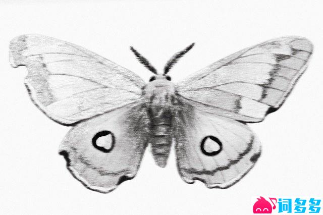 李昊《冬蛾》歌词封面图