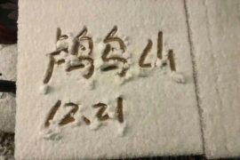 陈鸿宇《杭州的雪》歌词封面图