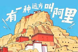 龚琳娜《有一种远方叫阿里》歌词封面图