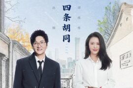 孙楠、谭维维《四条胡同》歌词封面图