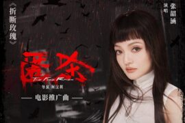 张韶涵《折断玫瑰》歌词封面图