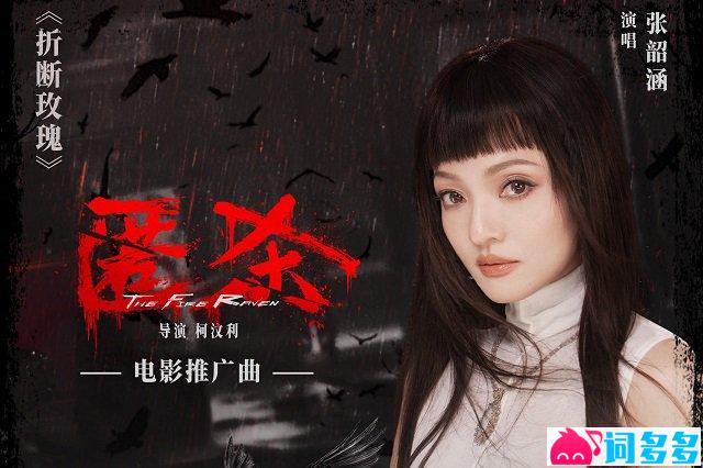 张韶涵《折断玫瑰》歌词封面图