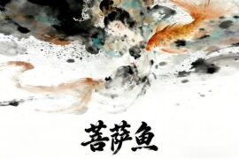 漫游会议室《菩萨鱼》歌词封面图