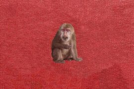 刘森《夜枕青山》歌词封面图