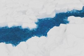 Top Barry 、INDEcompany《一半一半》歌词封面图