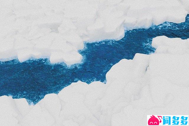 Top Barry 、INDEcompany《一半一半》歌词- 词多多