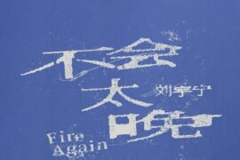 刘宇宁《不会太晚》歌词封面图