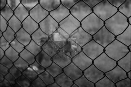 Uzzy《电影人生》歌词封面图