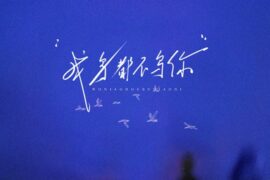 黄金玉米王《我鸟都不鸟你》歌词