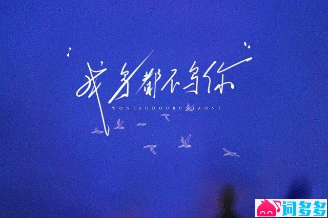 黄金玉米王《我鸟都不鸟你》歌词封面图