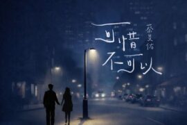 蔡旻佑《可惜不可以》歌词封面图