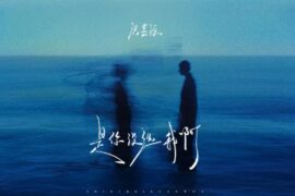 洪嘉源《是你没选我啊》歌词封面图