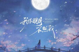 阿YueYue《我恨明月不照我》歌词封面图