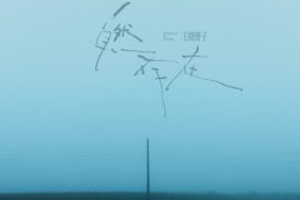 王晓赟子《自然存在》歌词封面图