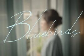 蔡健雅《Bluebirds》歌词封面图