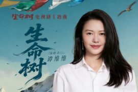 谭维维《生命树》歌词封面图