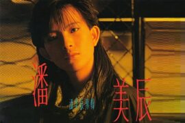 潘美辰《我想有个家》歌词封面图