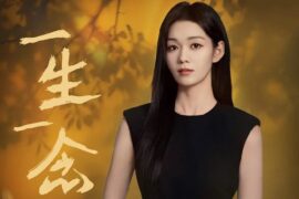 段奥娟《一生一念》歌词封面图