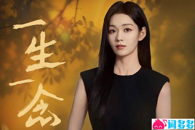 段奥娟《一生一念》歌词封面图