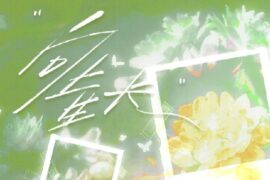 排骨教主《向上生长》歌词封面图