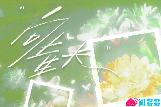 排骨教主《向上生长》歌词封面图