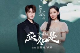 王铮亮、黄龄《应如是》歌词封面图