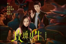 张栋梁《独角兽》歌词封面图