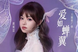 黄霄雲《爱如蝉翼》歌词